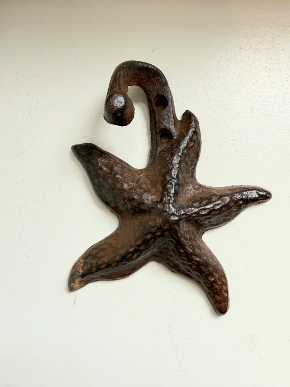 3 Cast Iron Wall Hooks - Breakwater Bay